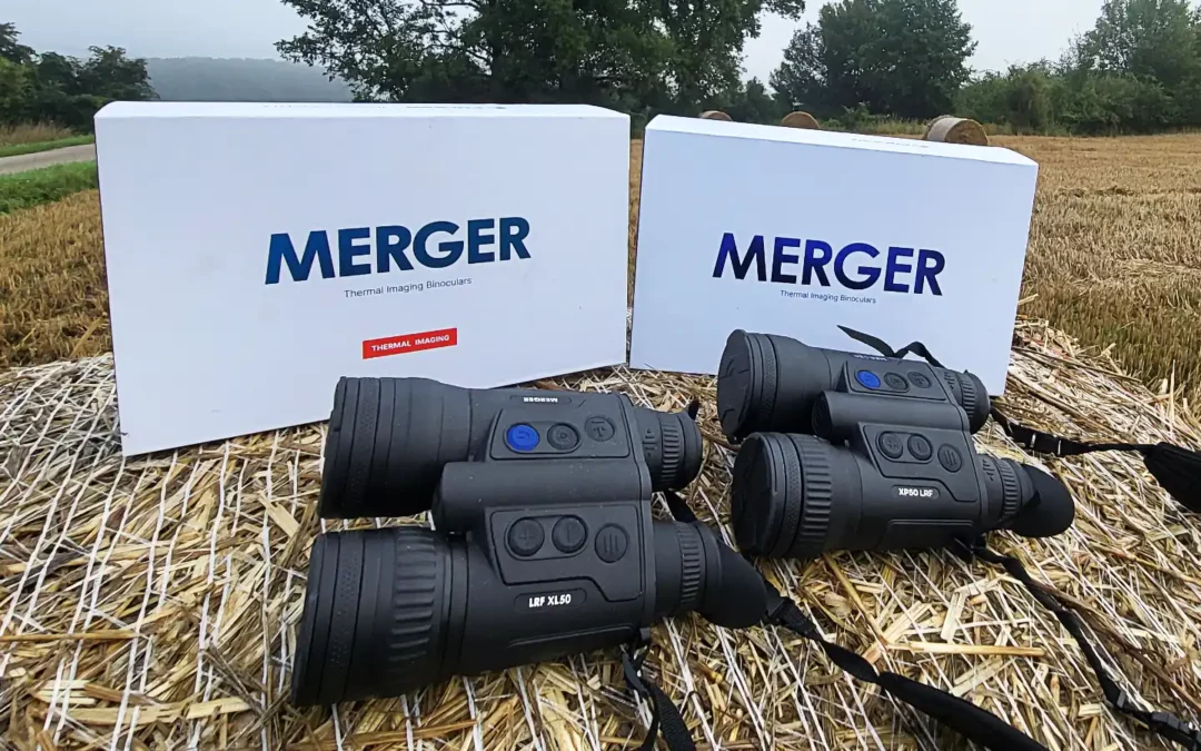 Pulsar Merger XL vs. Pulsar Merger XP: Der große Vergleich